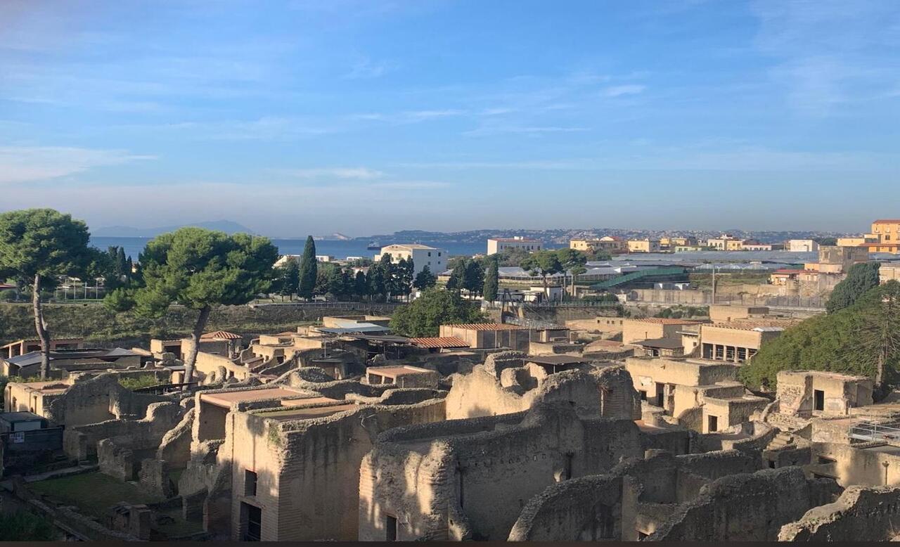 Herculaneum Private Tour